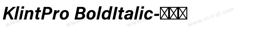 KlintPro BoldItalic字体转换